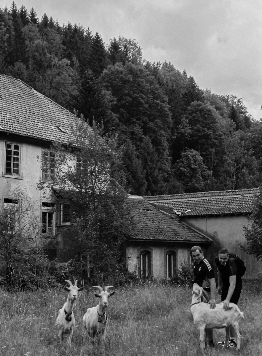 Natuur